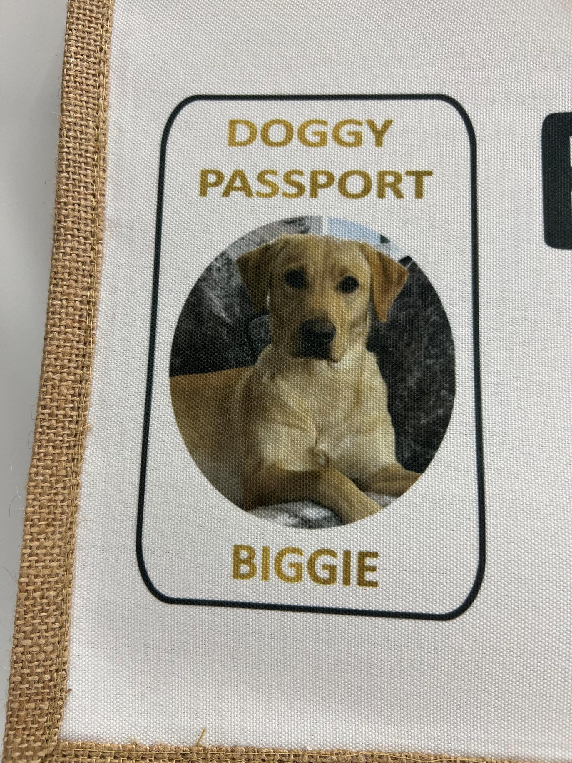 Personalised Dog Holiday Photo Travel Bag