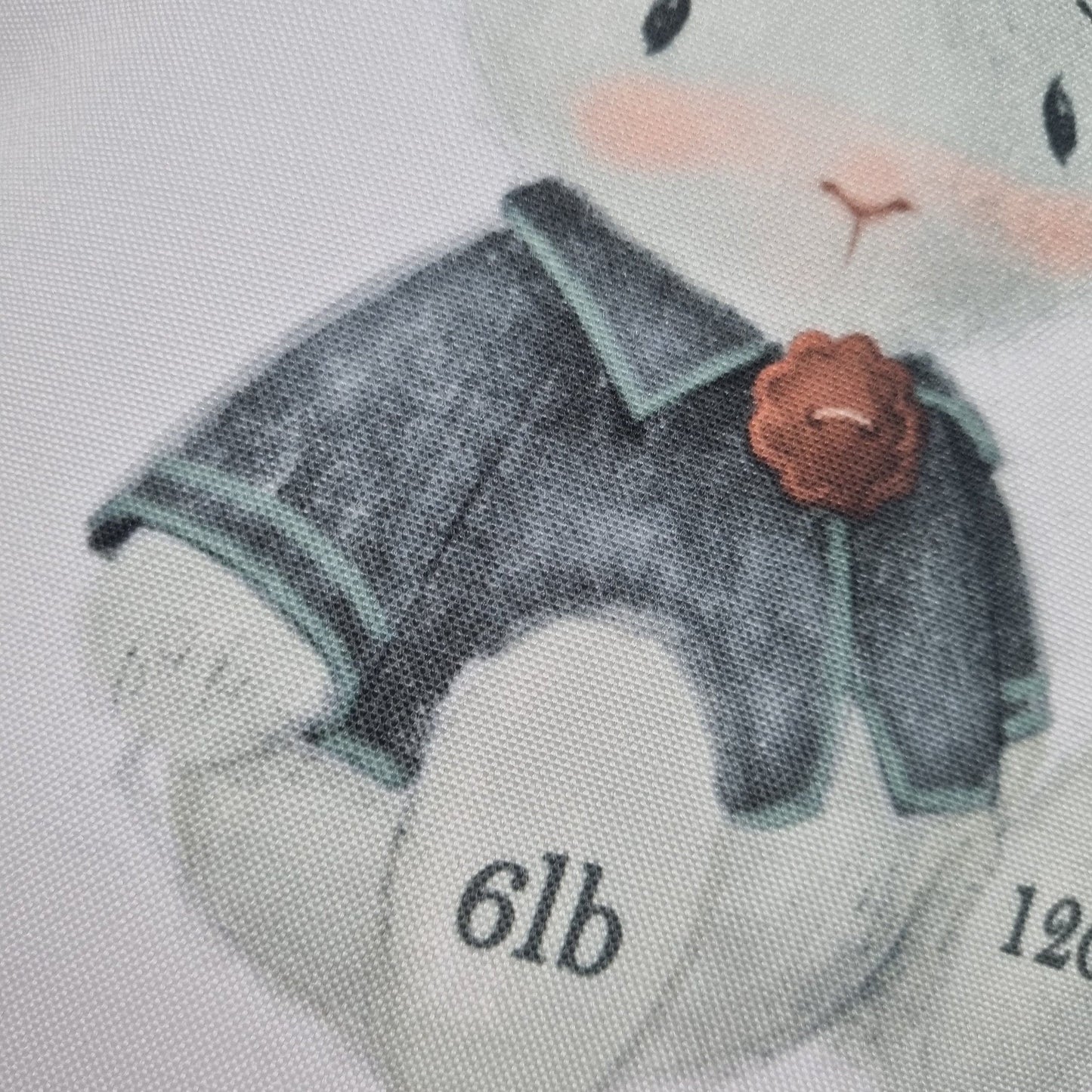 Personalised New Baby Cushion, New Baby Gift, Rabbit Baby Gift, Welcome To The World, Rabbit Gift, New Baby