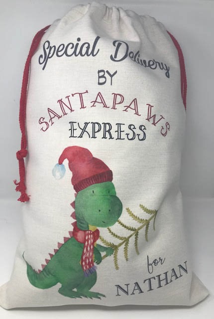 Large Luxury Dinosaur Christmas Sack