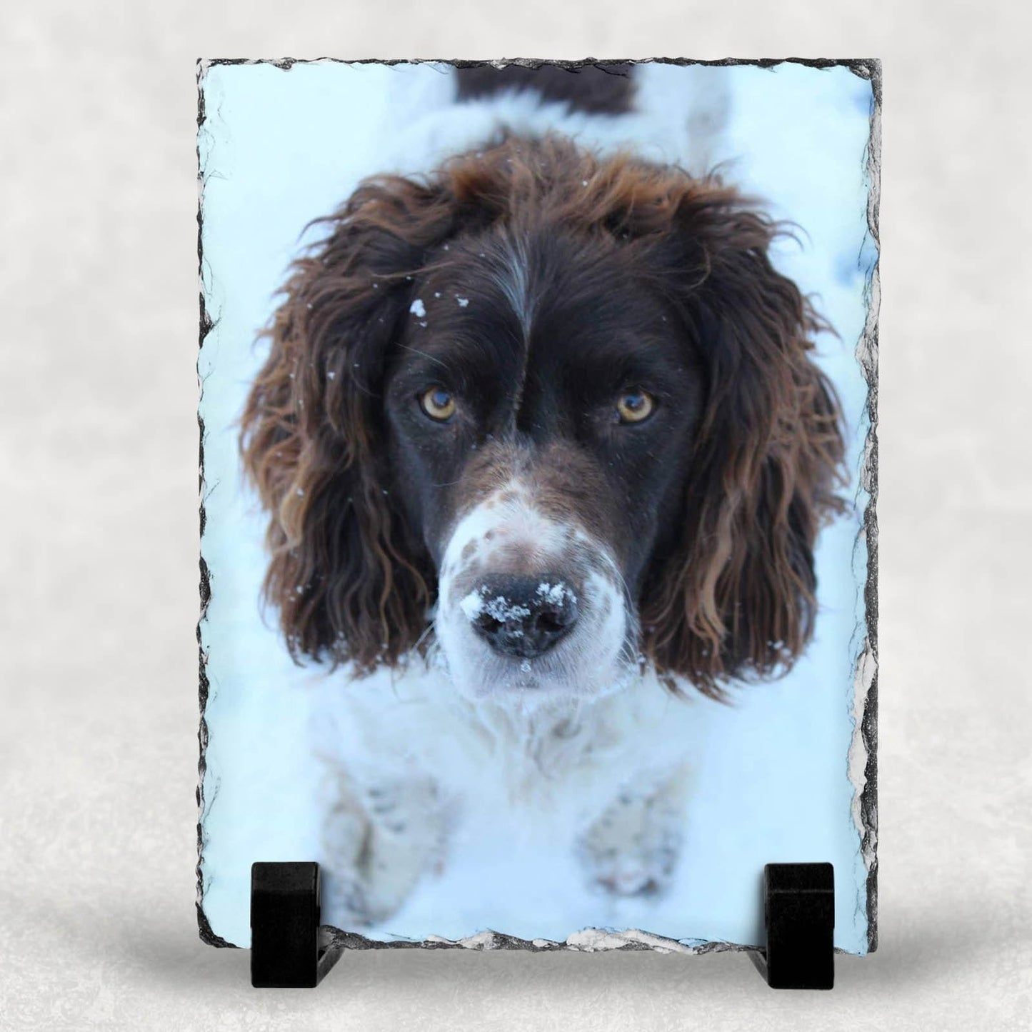 Personalised rectangle Photo Slates Various Sizes, Photo Gift, Printed Photo Rock Slate,