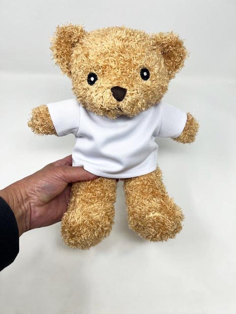 Big Brother Big Sister Personalised Soft Toy