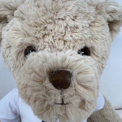 Be Brave Teddy Bear, Child Hospital Illness Gift, Get Well Soon Bear, Children's Inspirational Gift, Soft Toy Brave Child