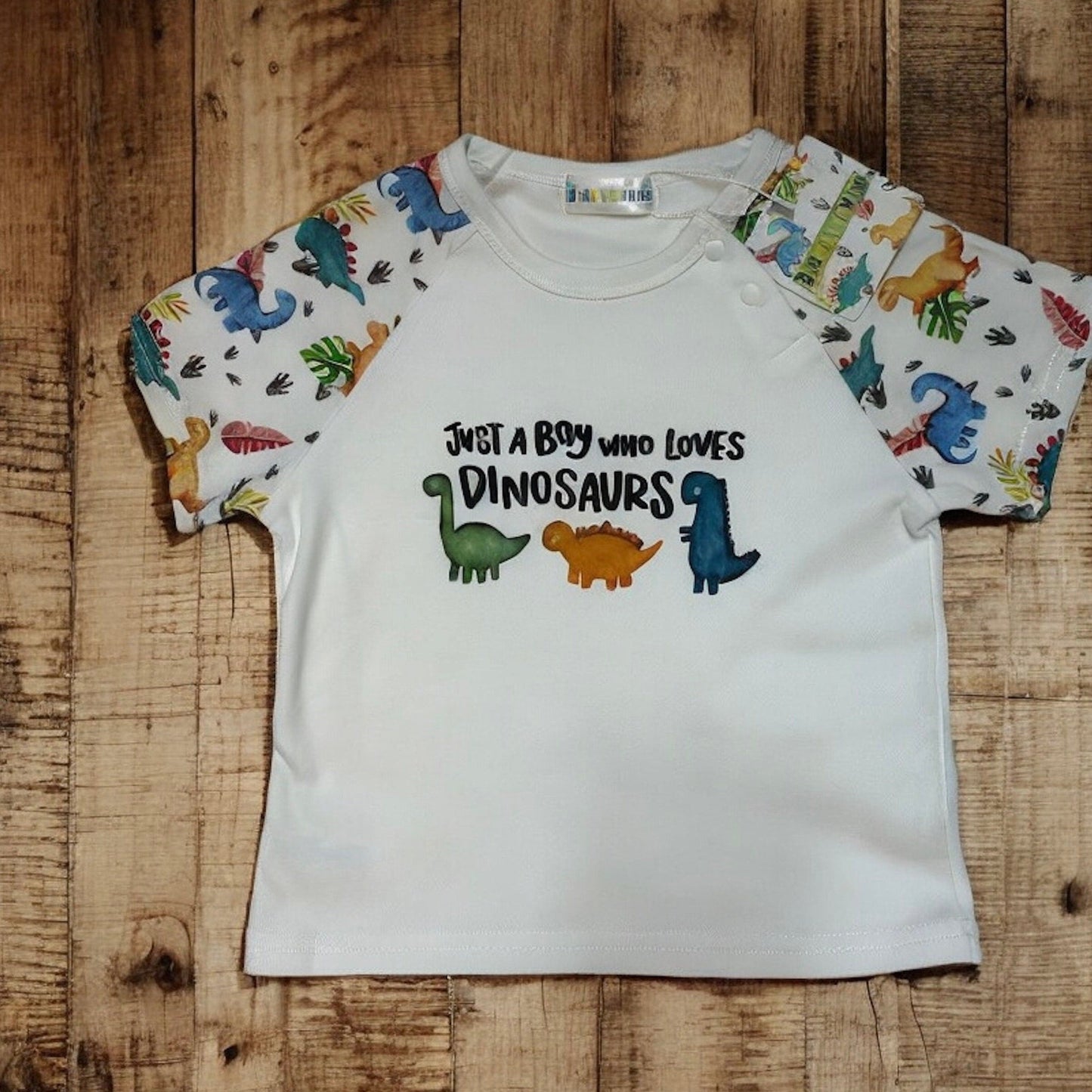 Dinosaur Outfit, Dinosaur T-shirt and Short set, Dinosaur Clothing, Boys Dino Clothing, Age 1-2 Years