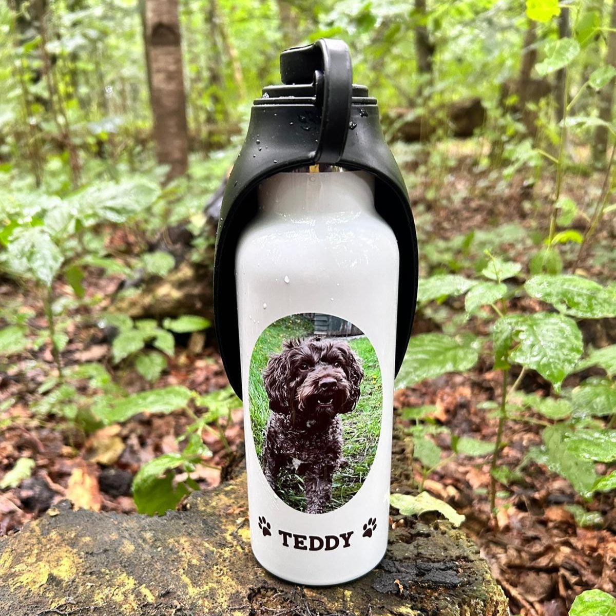 Personalised Pet Dog Water Bottle, Travel Pet Water Bottle, Pet Portrait Drinking Bowl, Pet Essentials, Pet Travel Gift, Dog Water Bottle