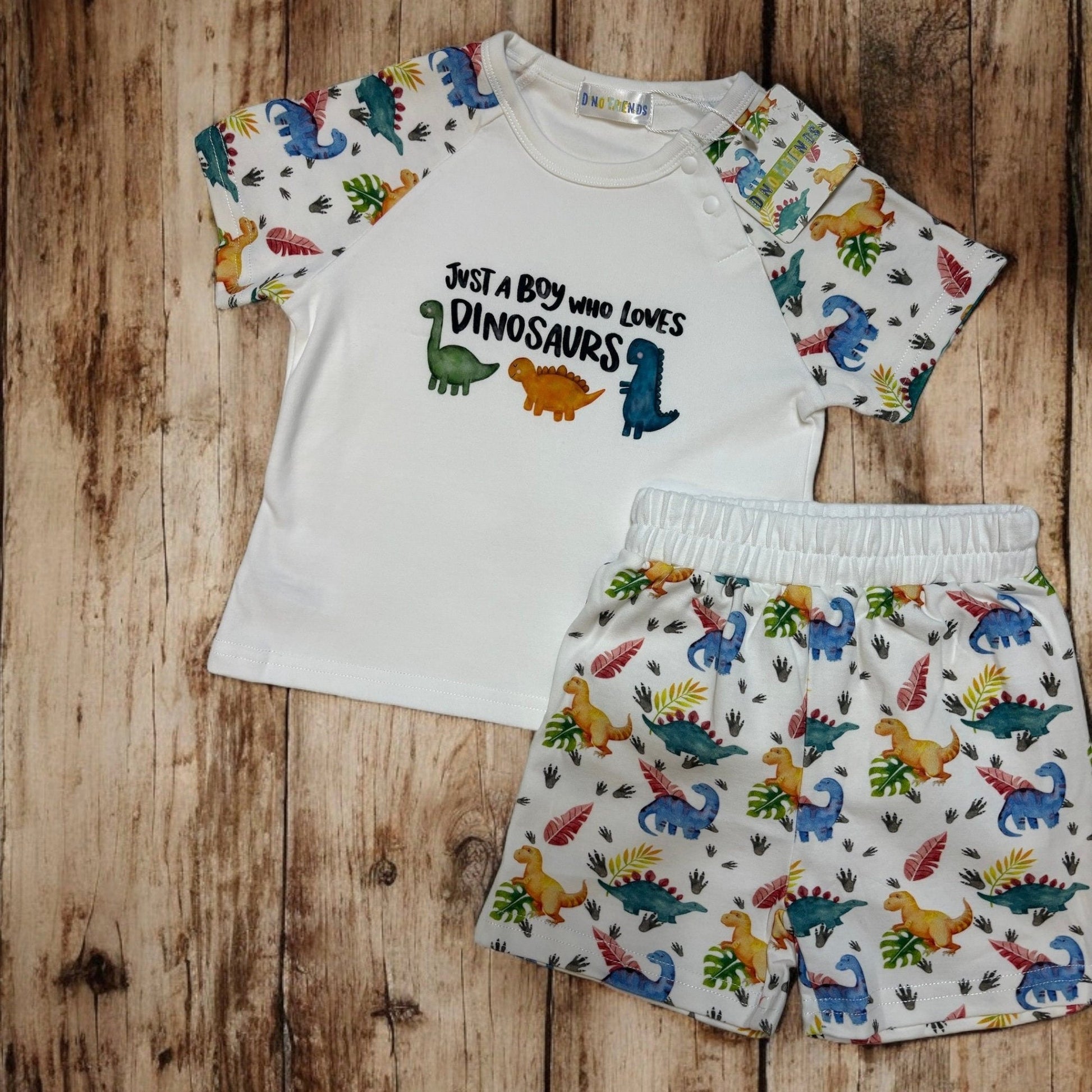 Dinosaur T-shirt and Short Set