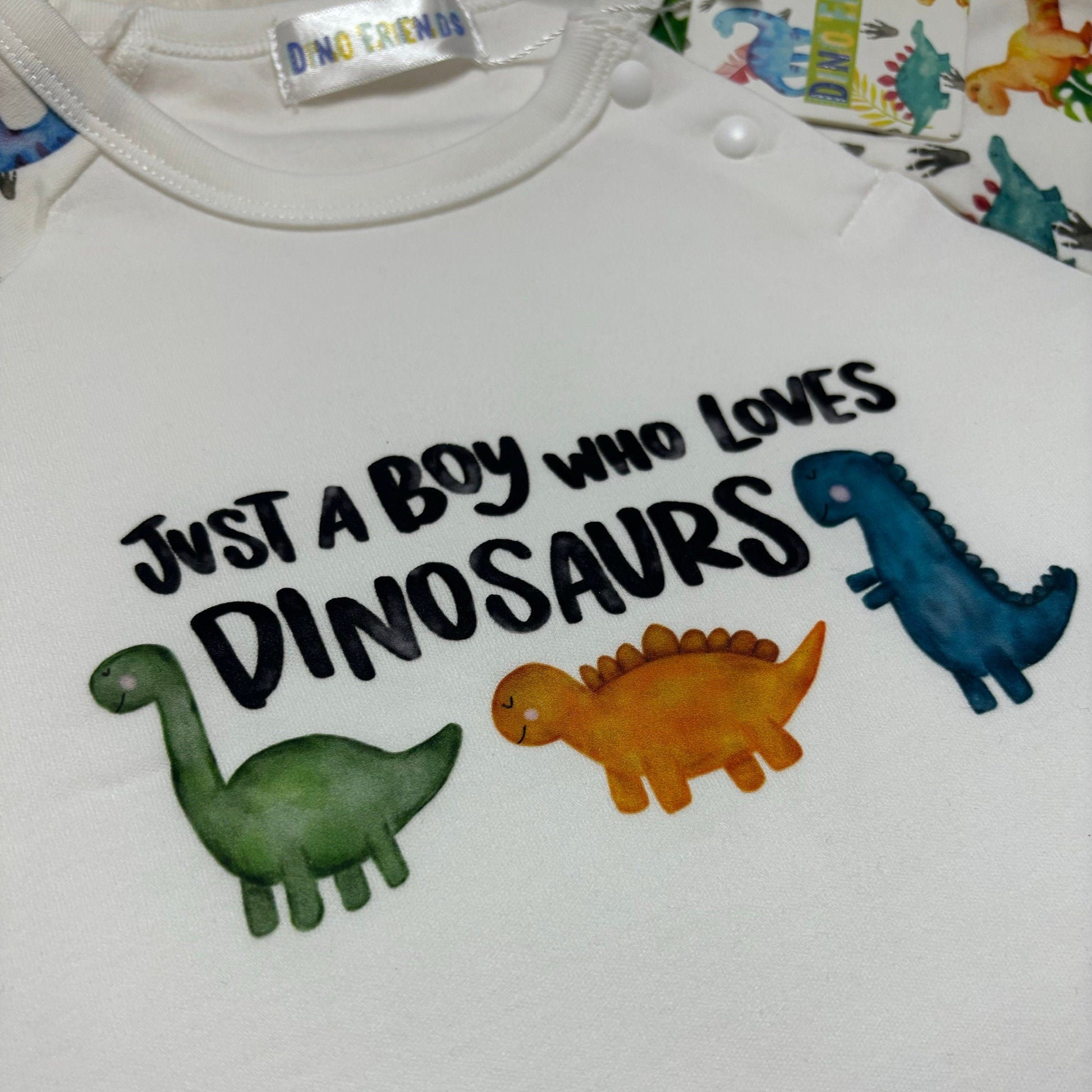 Dinosaur T-shirt and Short Set