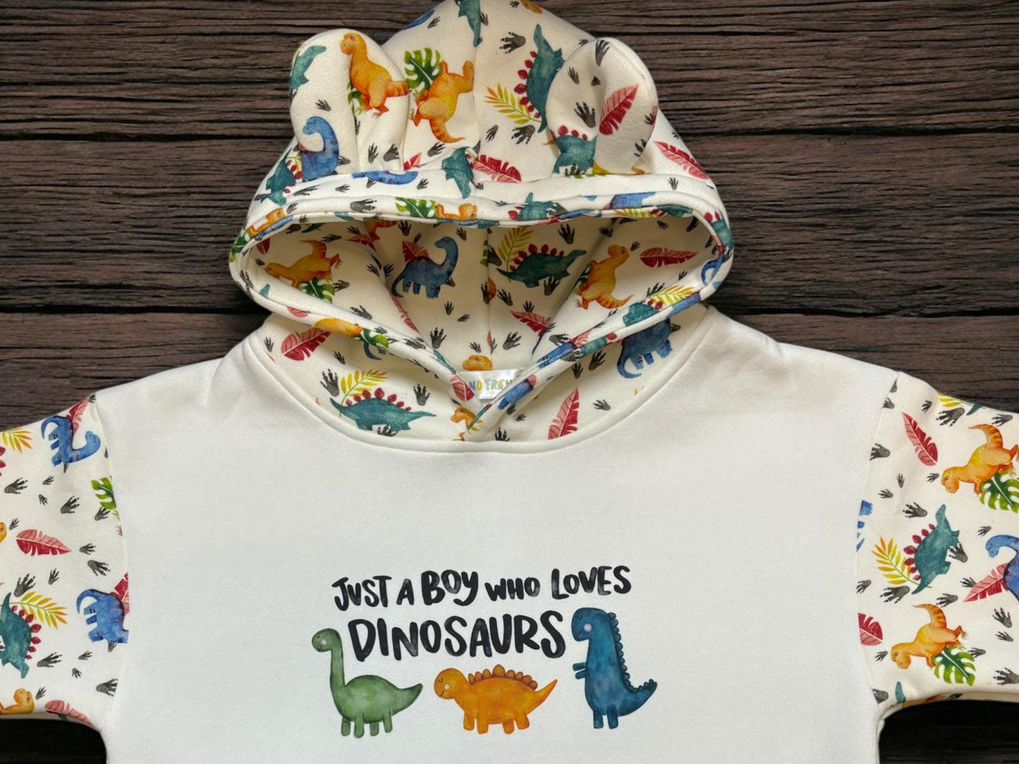 Dino hoodie, Age 5-6 Years, Dinosaur Hoodie, Dinosaur Clothes, Boys Hoodie, dinosaur lover, dinosaur boy