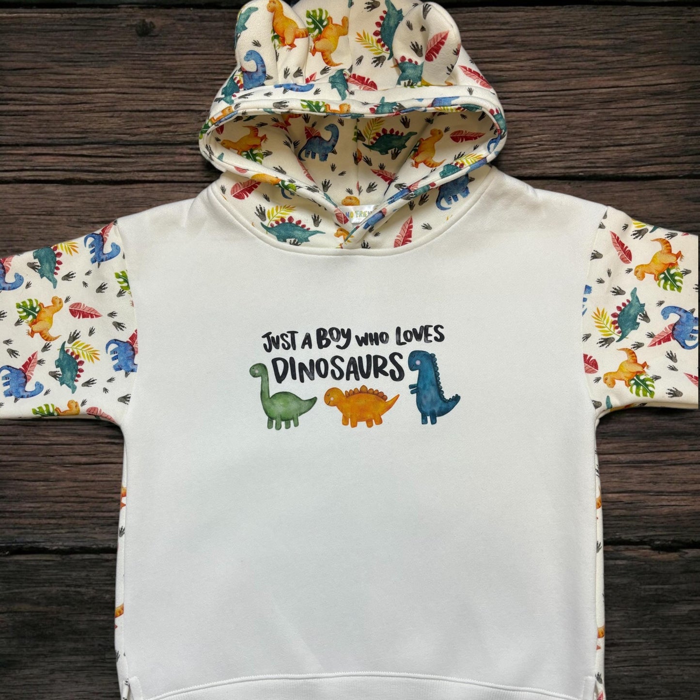 Dino hoodie, Age 5-6 Years, Dinosaur Hoodie, Dinosaur Clothes, Boys Hoodie, dinosaur lover, dinosaur boy
