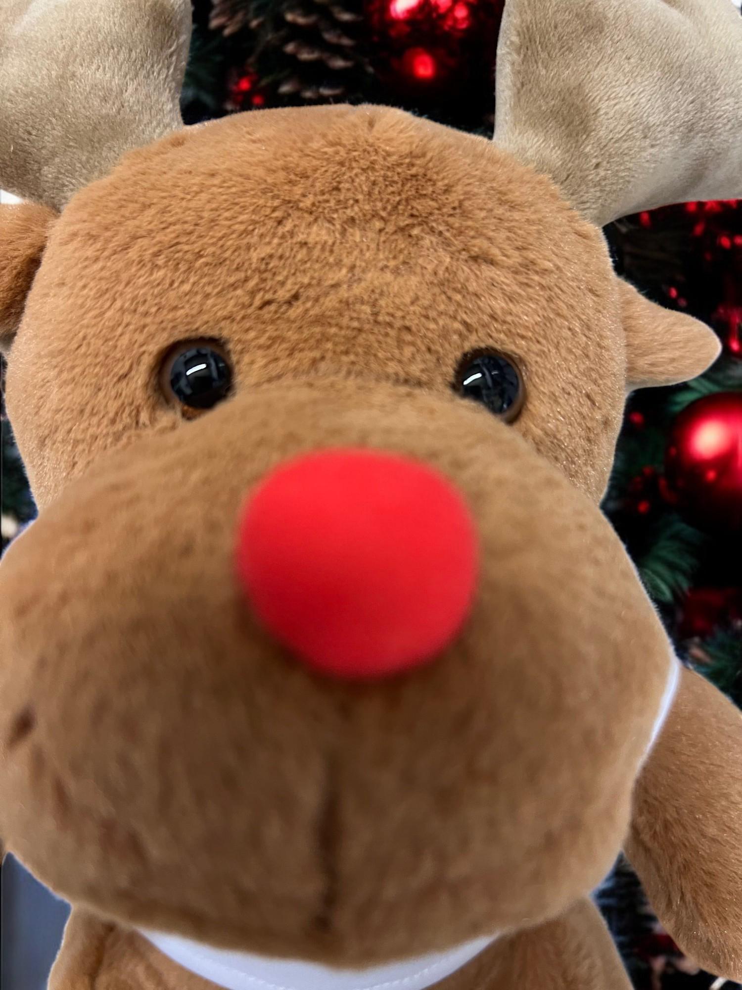 Personalised Reindeer Soft Toy Child & Baby 1st Christmas