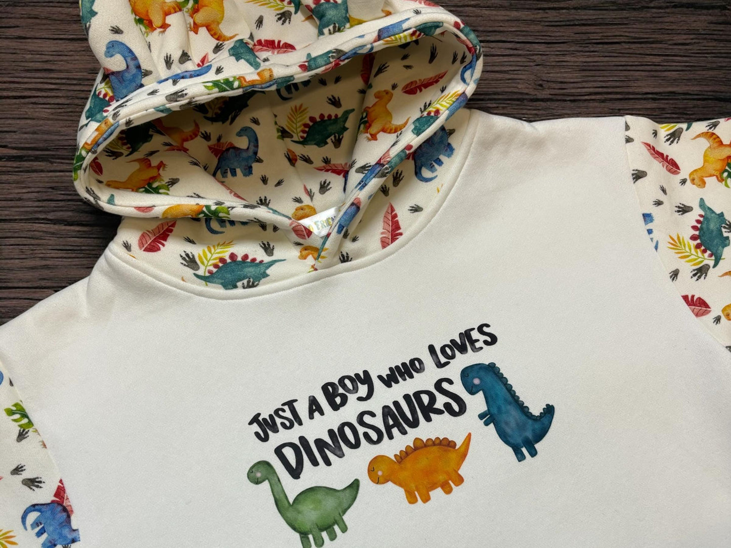 Dino hoodie, Age 5-6 Years, Dinosaur Hoodie, Dinosaur Clothes, Boys Hoodie, dinosaur lover, dinosaur boy