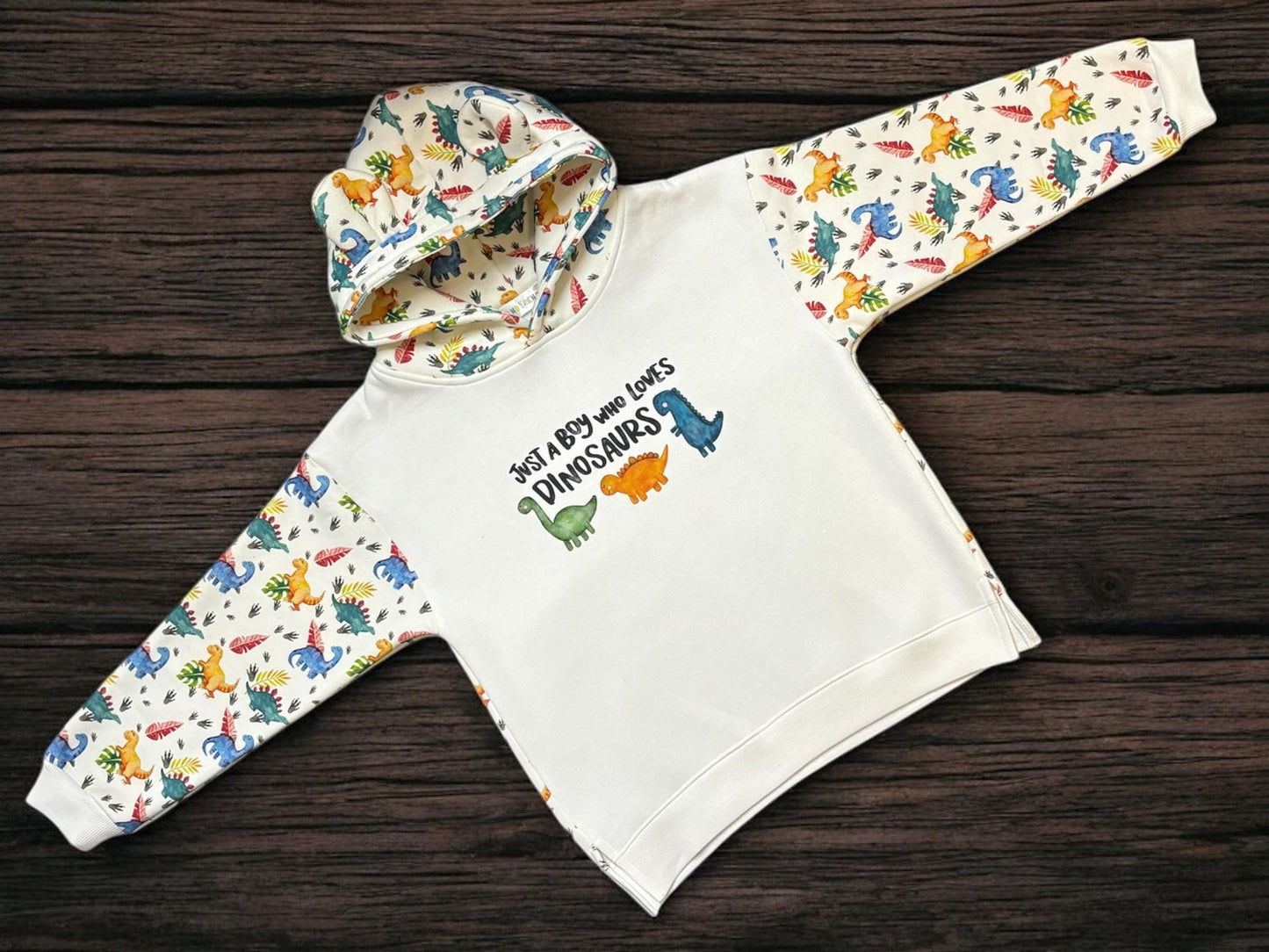 Dino hoodie, Age 5-6 Years, Dinosaur Hoodie, Dinosaur Clothes, Boys Hoodie, dinosaur lover, dinosaur boy