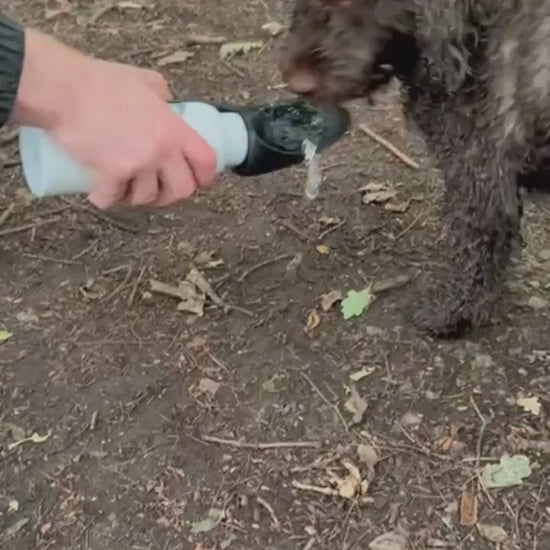 Personalised Pet Dog Water Bottle