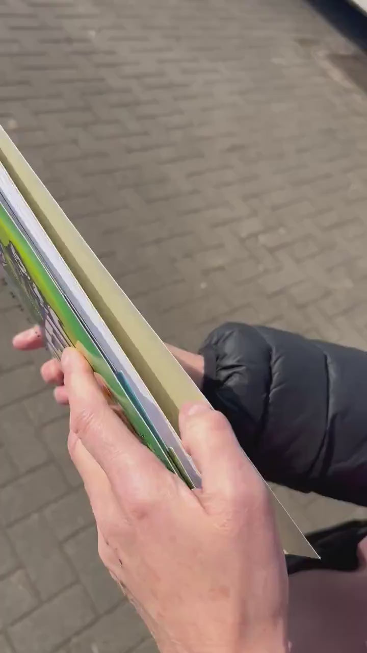 Child's Diabetic Diary